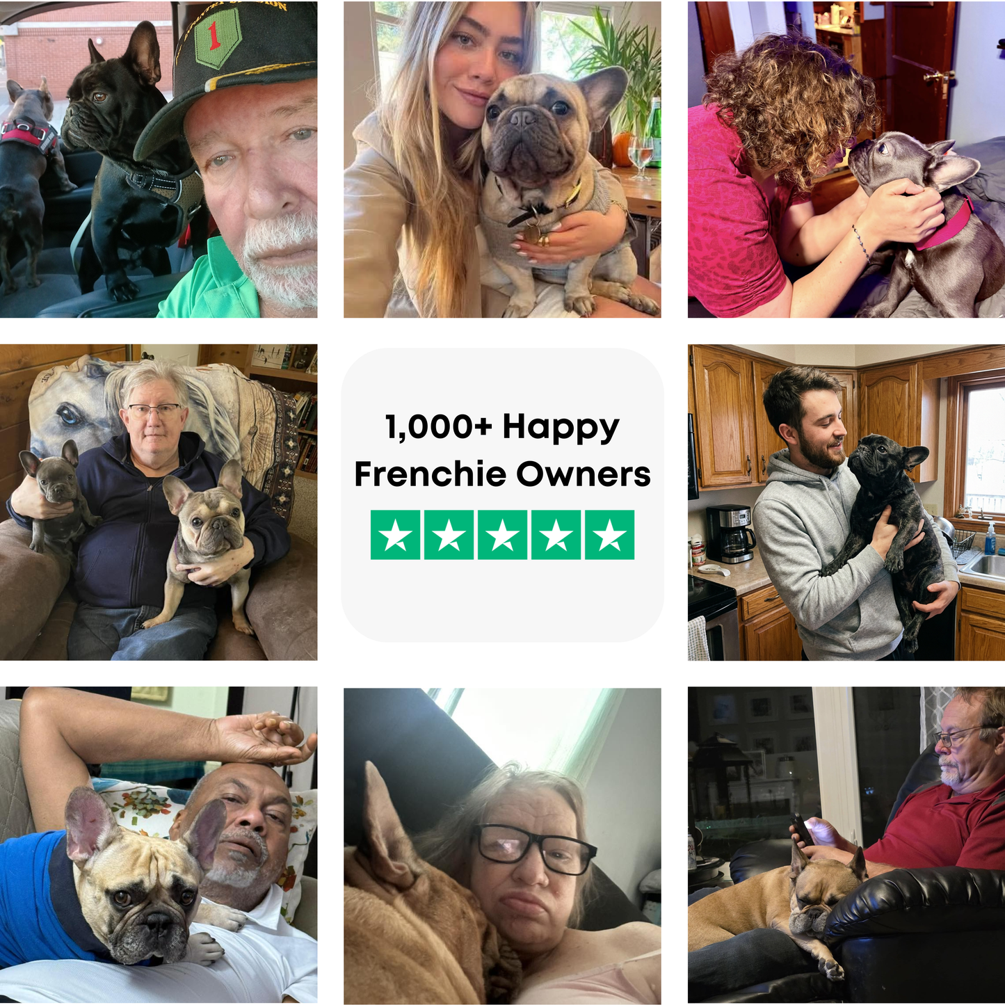 The Complete Frenchie Guide