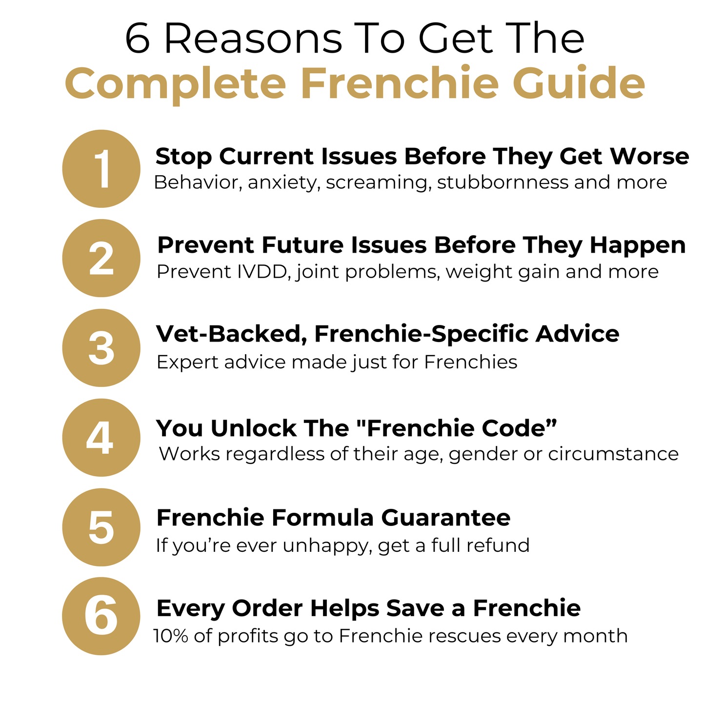 The Complete Frenchie Guide