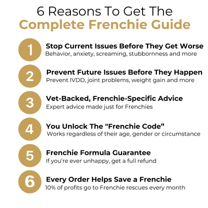 The Complete Frenchie Guide
