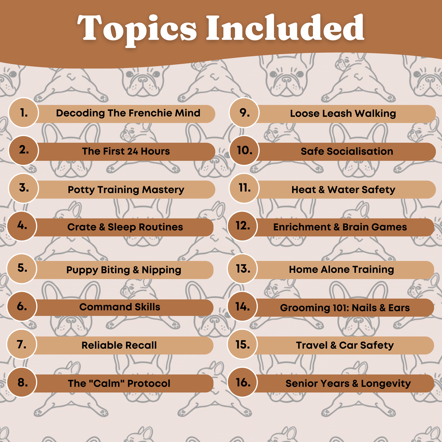 The Complete Frenchie Guide