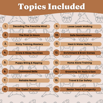 The Complete Frenchie Guide