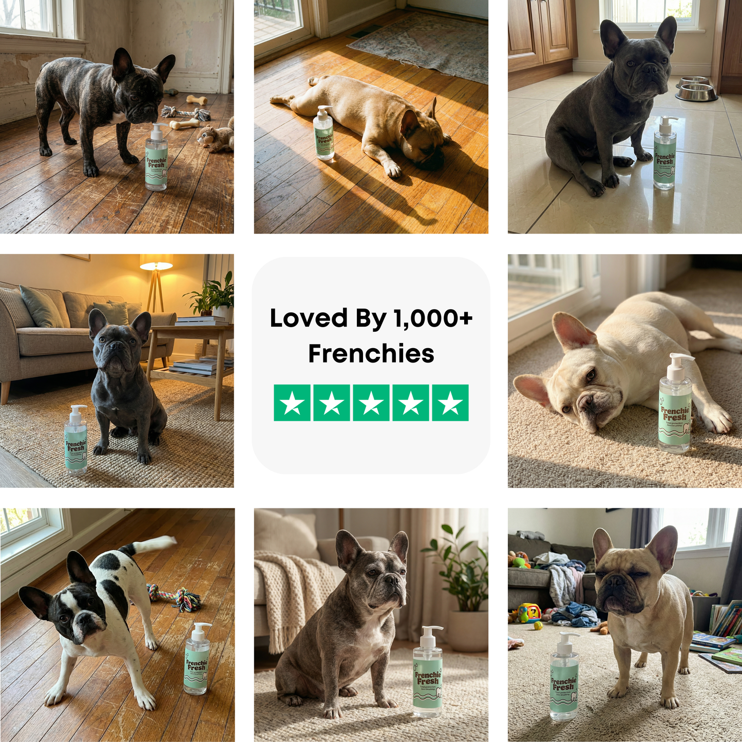 Frenchie Fresh™