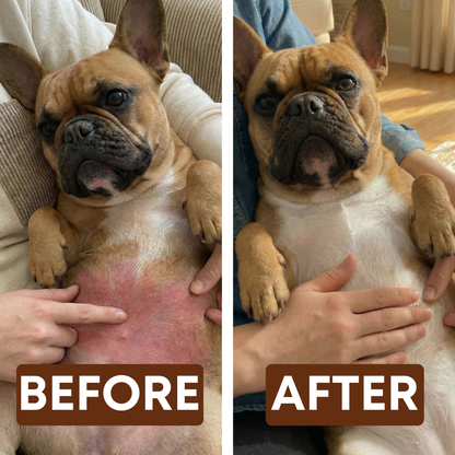Frenchie Relief™